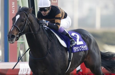 発掘トレンド情報